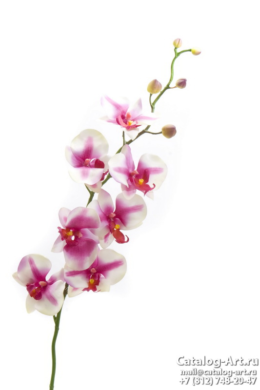 Натяжные потолки с фотопечатью - Розовые орхидеи 16